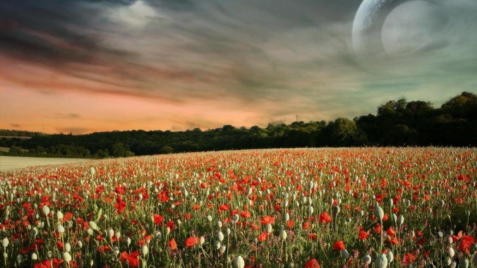 AI 生成时代，现有编程语言还够用吗？